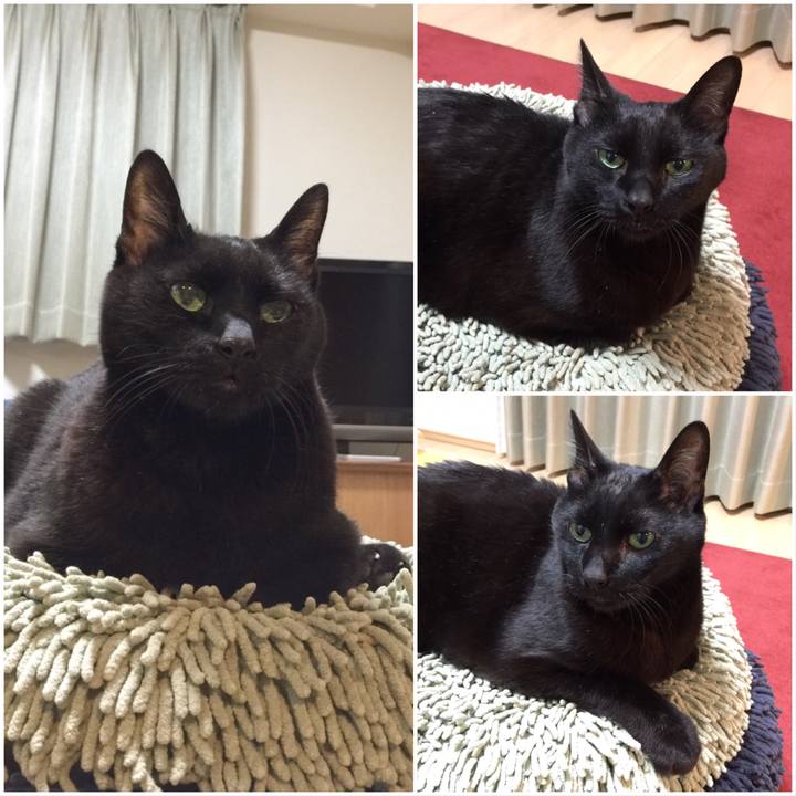 9d663443 71cc 44fc 9cf6 c75ca7f10370