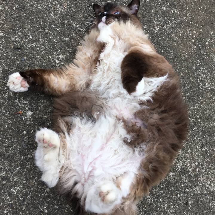 9d6694b3 8864 4a43 8669 e1a56aa3a004