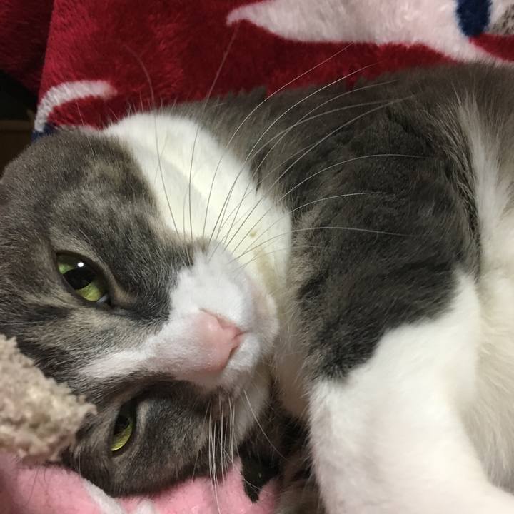 9d66bb24 f668 4310 81cd 1cf747abb107