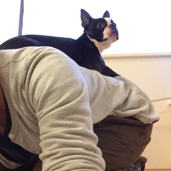 9d68148a 5b85 4291 b4ac 10bf477b0e62