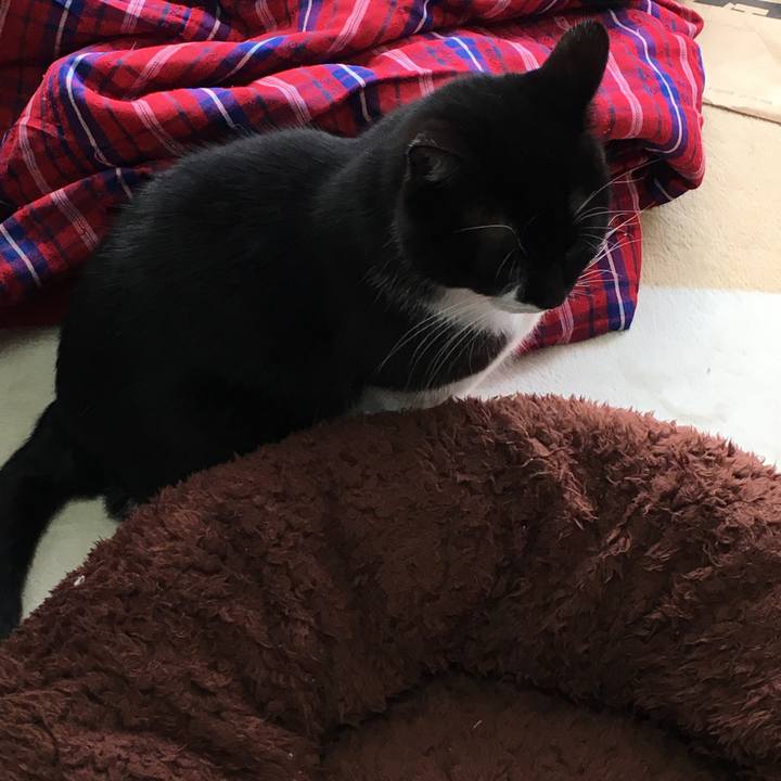 9d68c21e 363c 4825 bd4f e87404ae455e