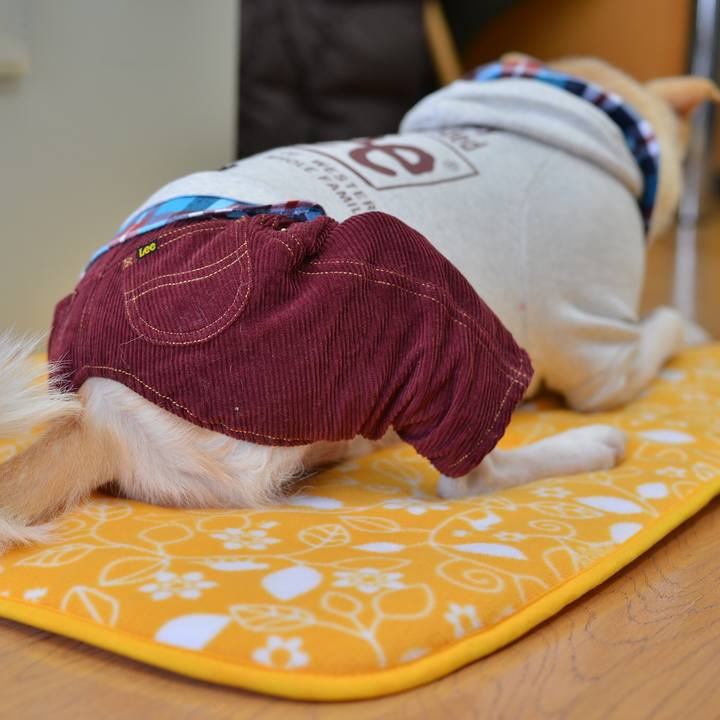 9d68d5ca 9cc4 47c3 aa8b 12ff7c15c2f2