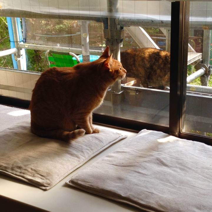 9d695c80 df69 4bbc 95ea 3e60f2d90a45