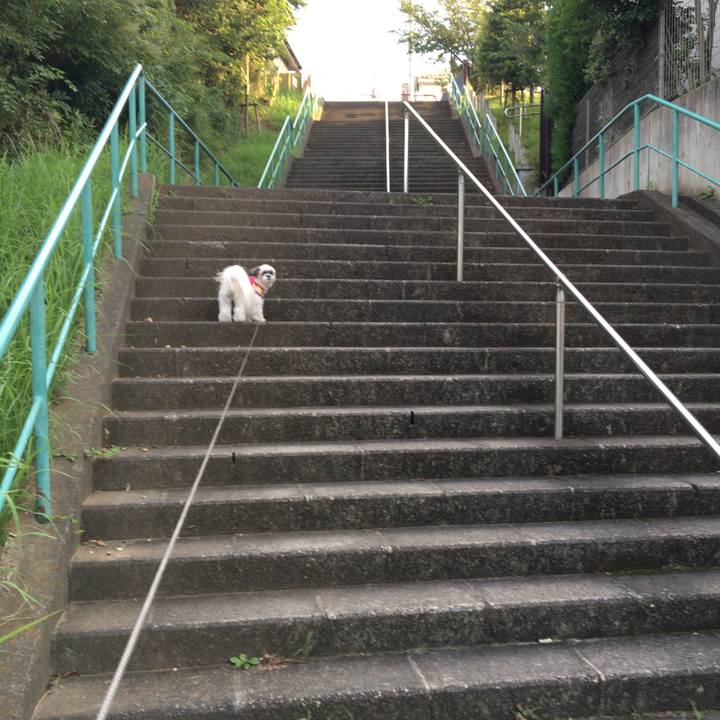 9d6b7792 a226 4f1a 9b7f 48144a969a86