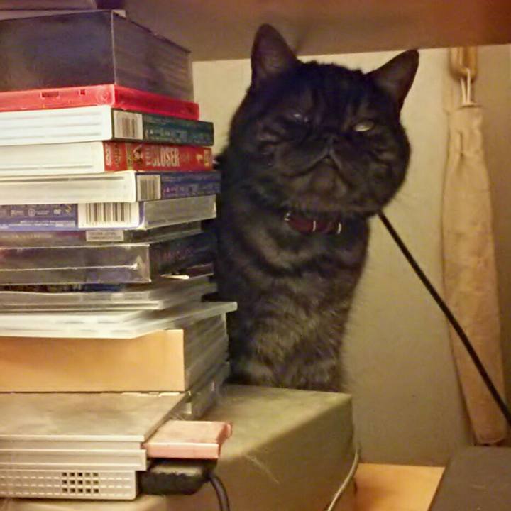 9d6bc3e8 1fe0 4f66 a967 468f5be9b449