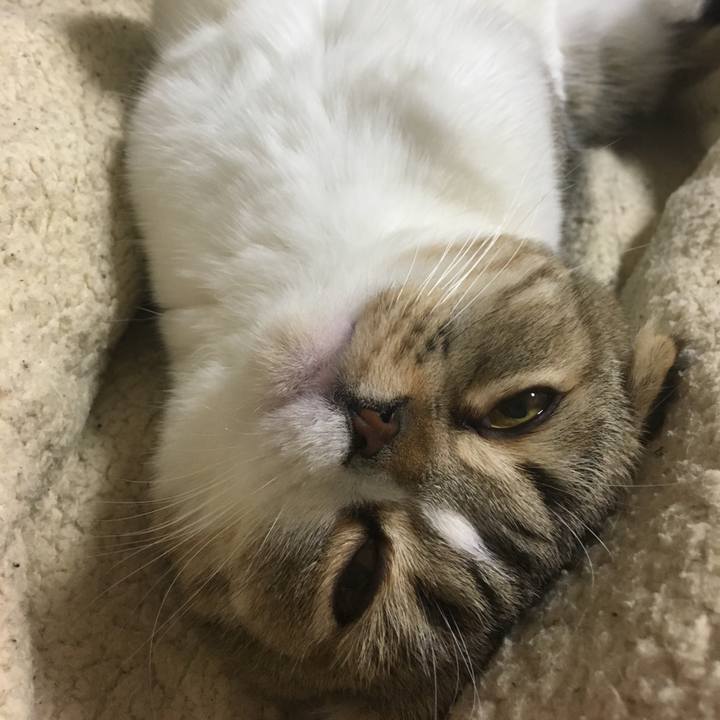 9d6bfd71 e7d0 49d7 a8c3 02bcf6ff9563