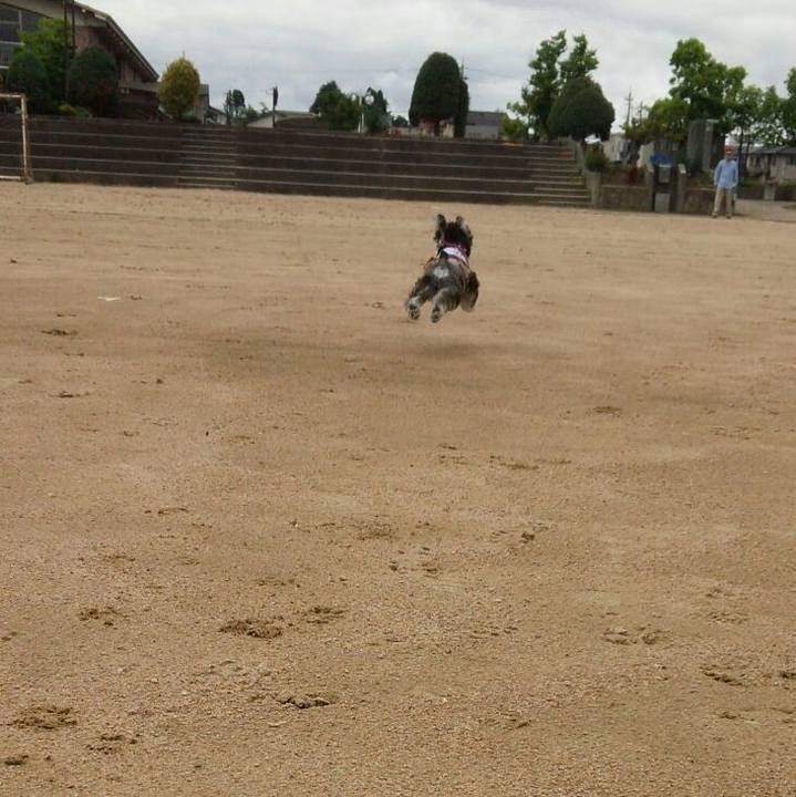 9d6c5f2a ece0 40e6 8509 3dbff054acbd