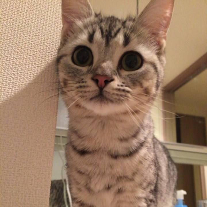 9d6c7b4e 6f55 4901 9e73 b30ccff549ba