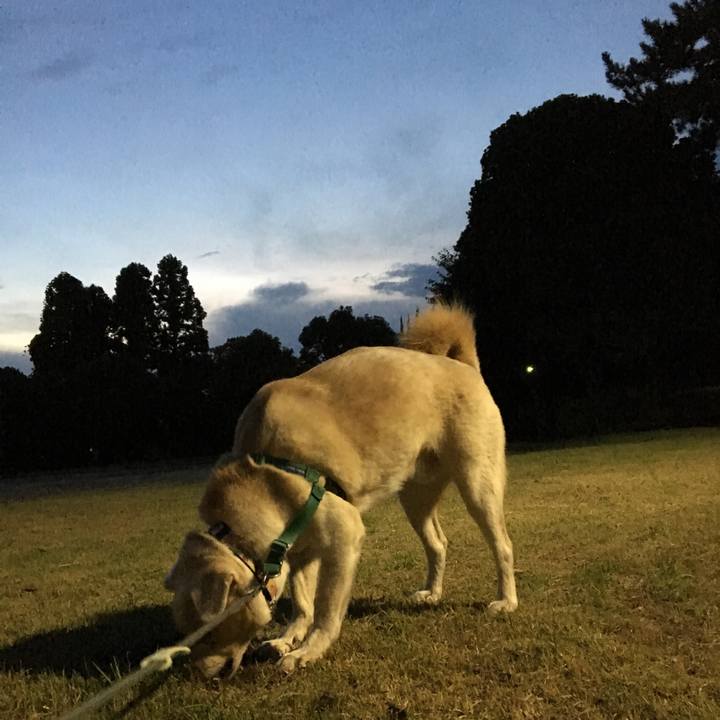 9d6ca694 09bd 4080 a7dc cd98e7cb46ef