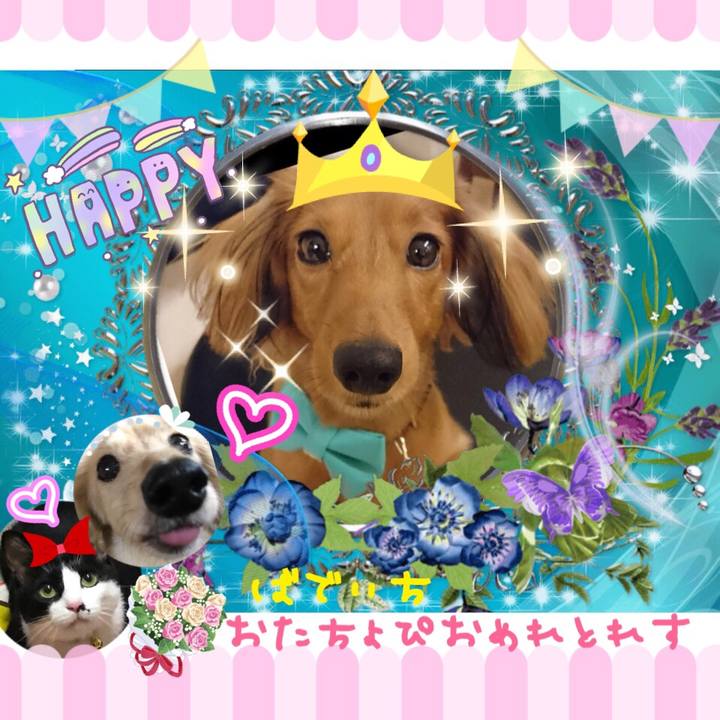 9d6ccf59 4acd 4a80 99ce b7086a7a4445