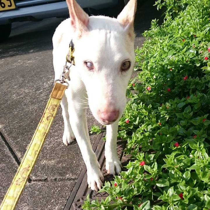 9d6cdade 7544 452f b803 edff4ffbb90b