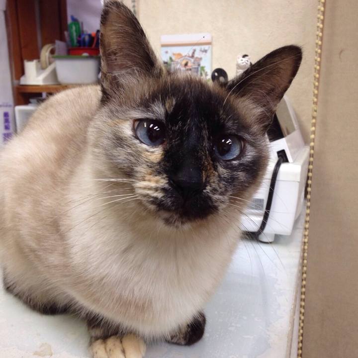 9d6d1358 1126 4dec b474 171cae97986a