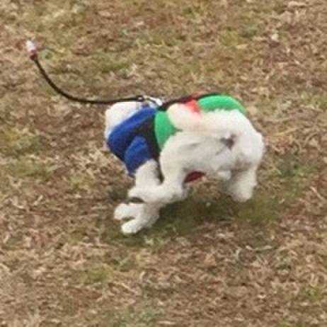 9d6dfbbc c249 485f b93f 35404b646721