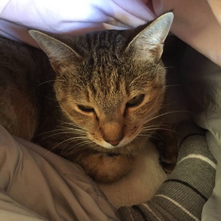 9d6e5d00 d044 4e33 97c4 f5eb3e7b02e3