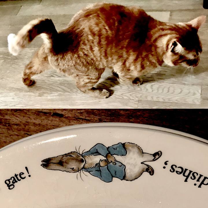 9d6e93b7 8e89 4c76 9027 2ce48cb01c3f