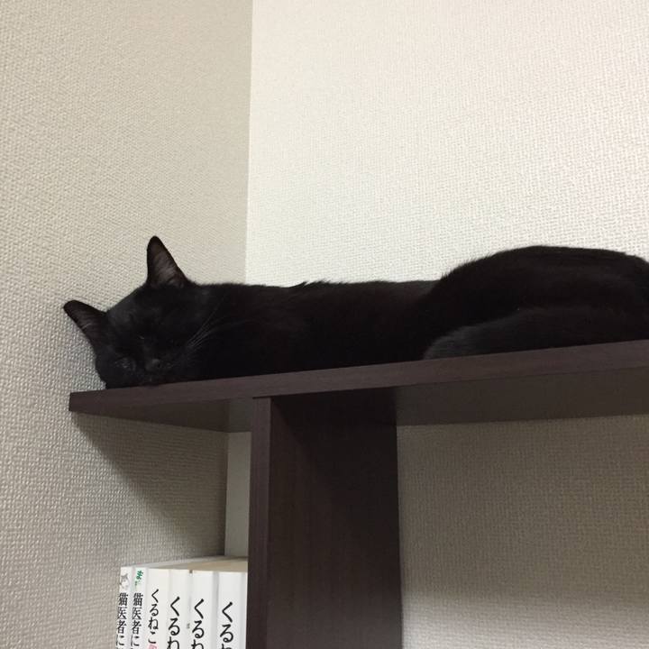 9d6ef118 cb56 46bf 8ccc 8eec5b396ba5