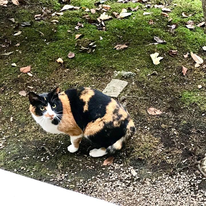 9d6f68ef f343 4e9c bce2 d191ecbec9ed