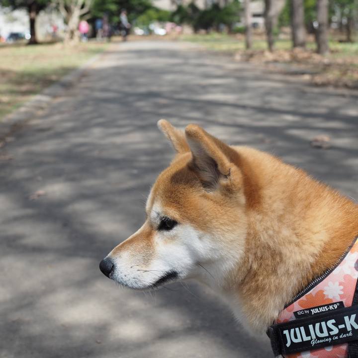 9d6f7b59 2852 449f b686 432939e229c3