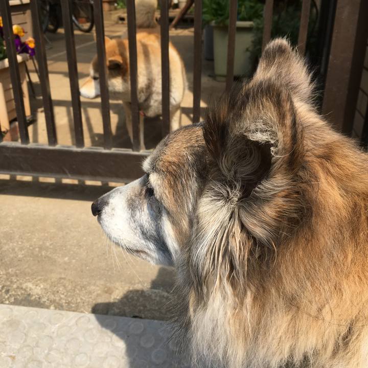 9d6f8e38 ca97 4482 b9ef 5e7f072f912e