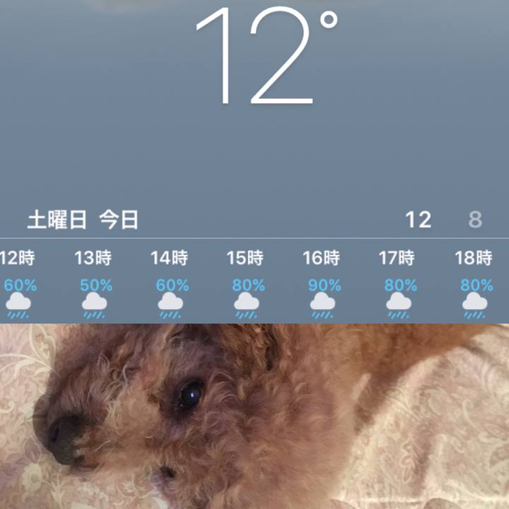 9d6fd4bf 1c2a 447d a5e6 1483cc517177