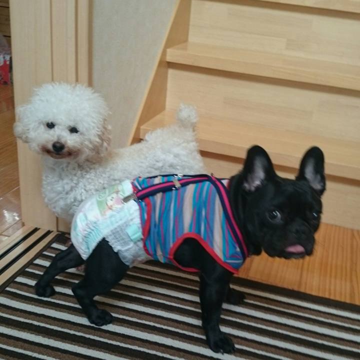 9d700878 629d 4913 9a23 8a14e14a1fff