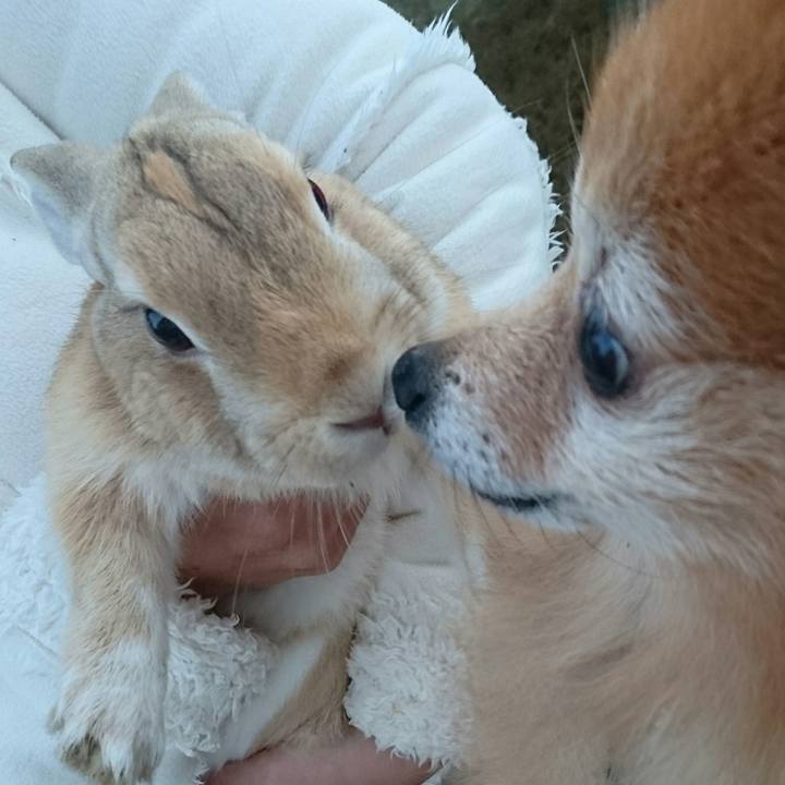 9d7021a7 36d9 4d00 8aad 4ba24dca790b