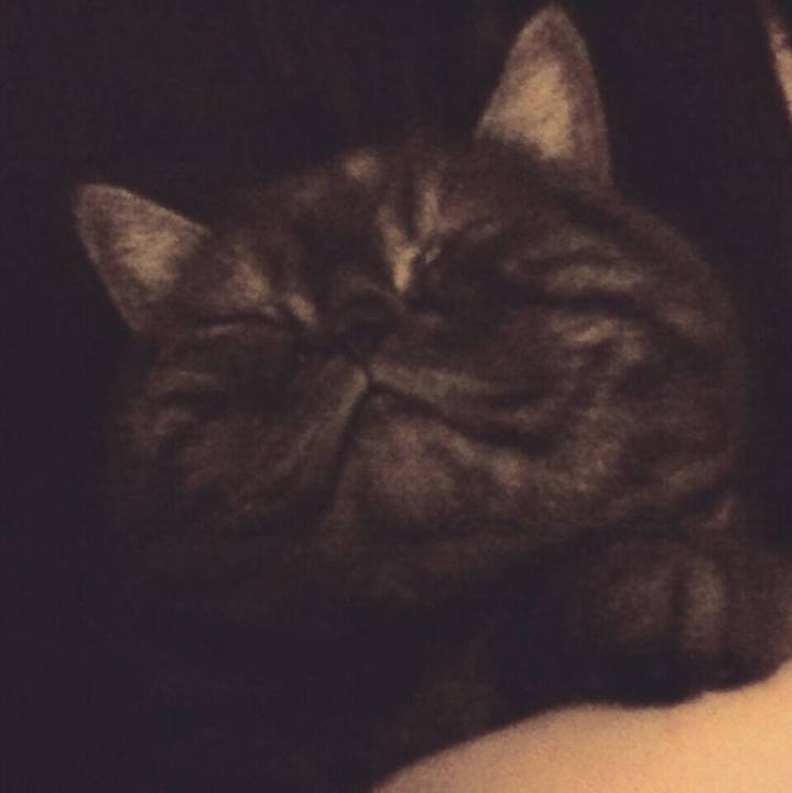 9d702472 dbf1 4162 bfe8 89797bd3f9a2