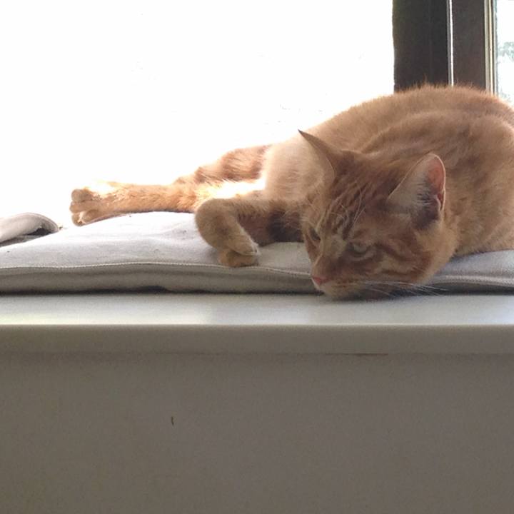 9d705636 2da3 48e3 ab41 da07557271ae