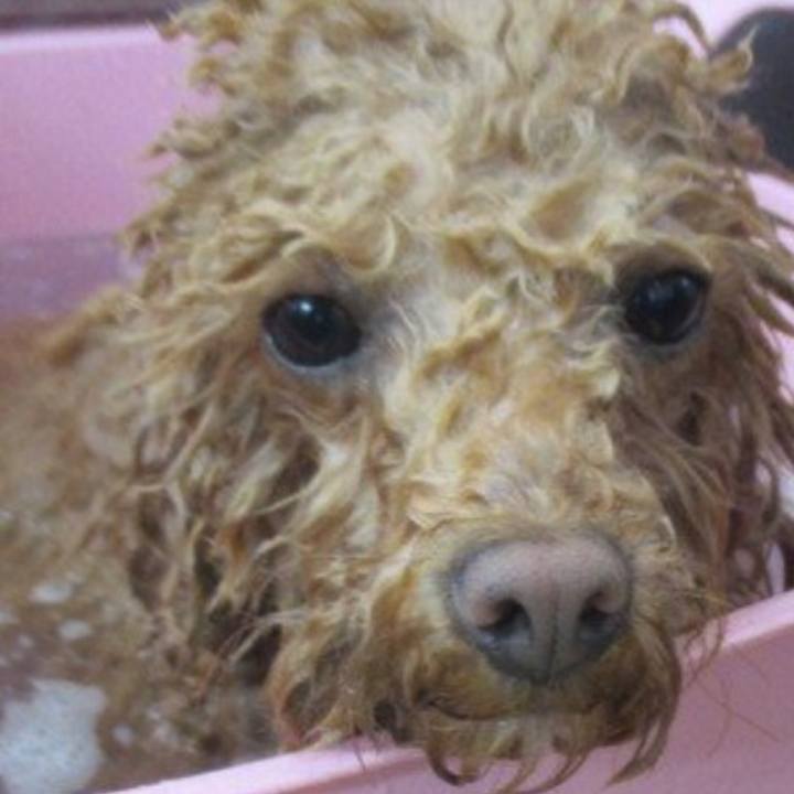 9d70f98c 4fd6 4200 895e e057d05bd5c0