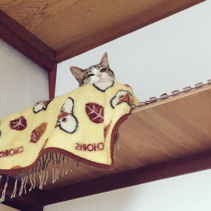 9d71a32a 3b11 40f7 9310 d0e3cbf609e3