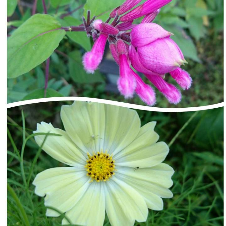 9d723c44 5e2a 42a0 b026 9825489ad277