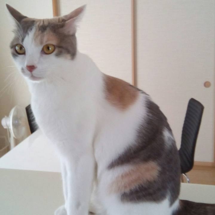 9d73187f cf3f 4b66 b7d7 a36ffb7ea7fd