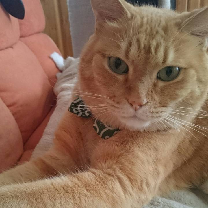 9d738f07 9da1 45be 95ae 84693556b8be