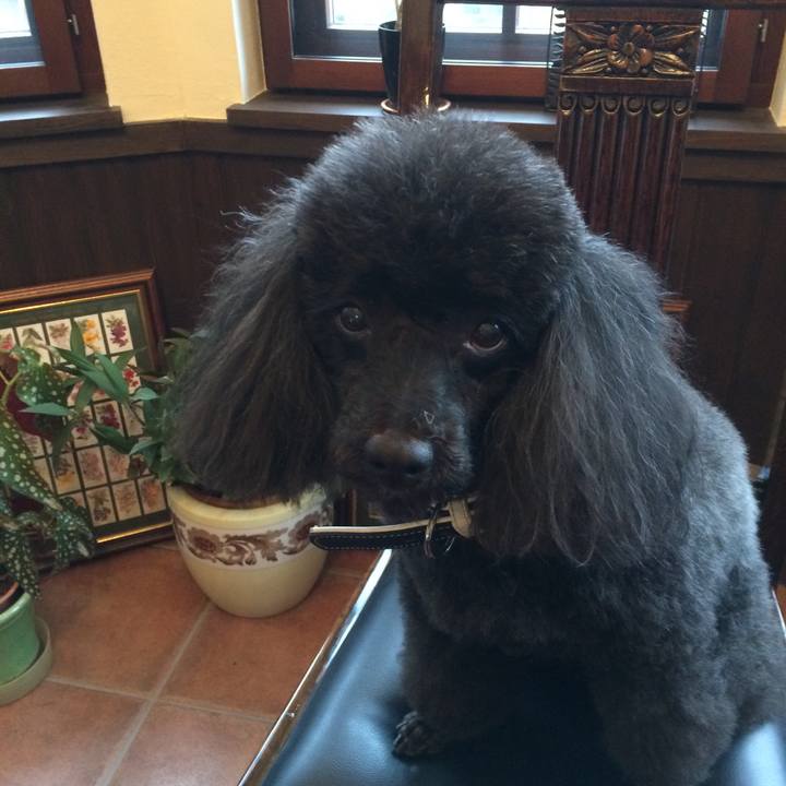 9d73d021 fbb5 4129 9e1a 53cb8e5ff9bc