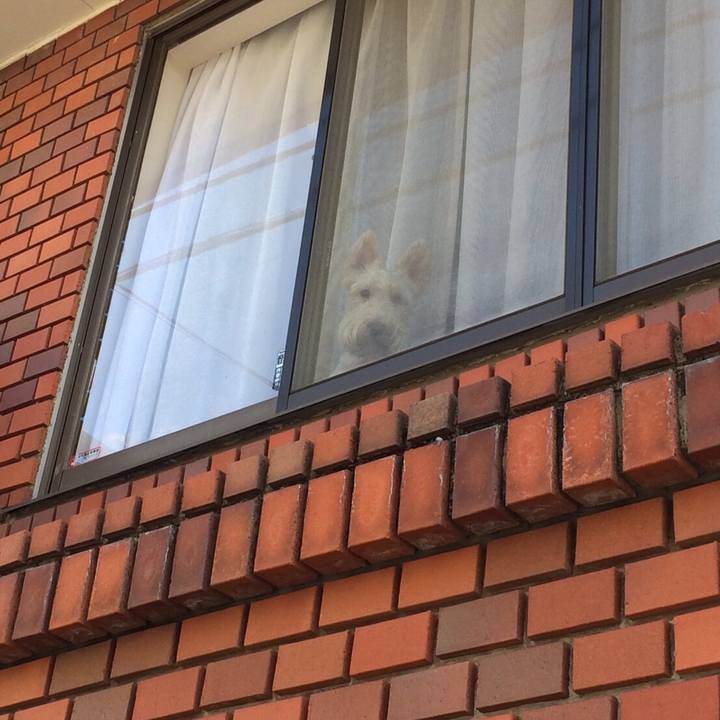 9d7423e7 e66f 4365 b530 9e7ea7d815af