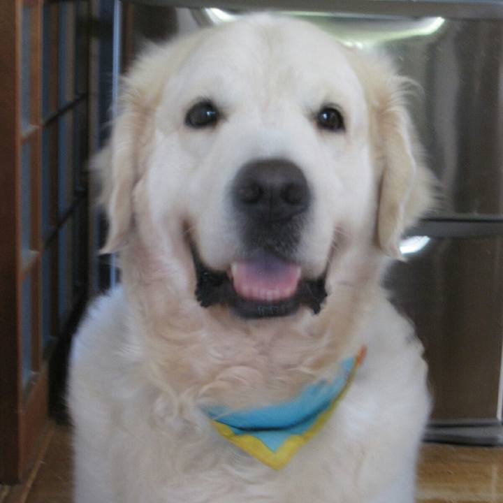 9d746c4f b084 419c 9fa2 468a76019ba5