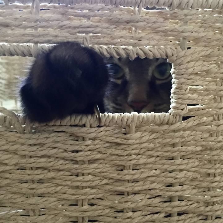 9d74a71f 257c 4e18 9673 962d00adebc3