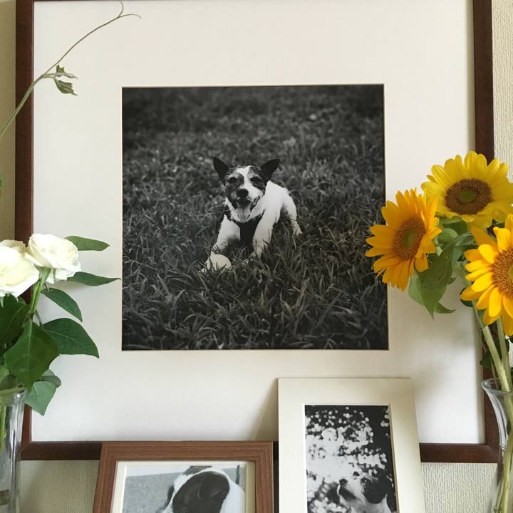 9d75395b ba86 48ca ba0a 2833180c569d