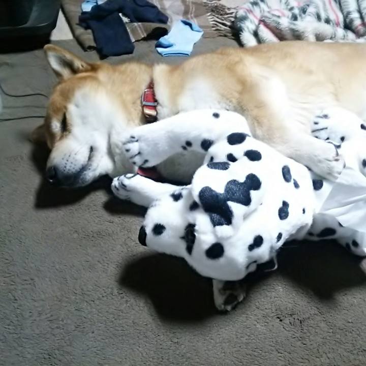 9d75bf94 a464 4b9e bd20 c84316936199