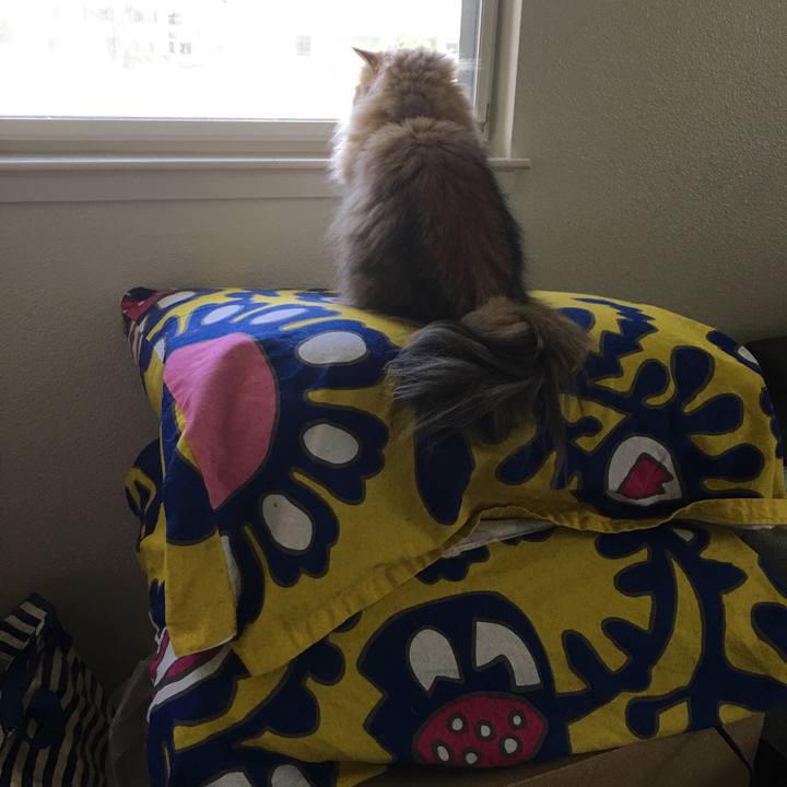 9d75d496 da26 44df a20b 6947a39907e2