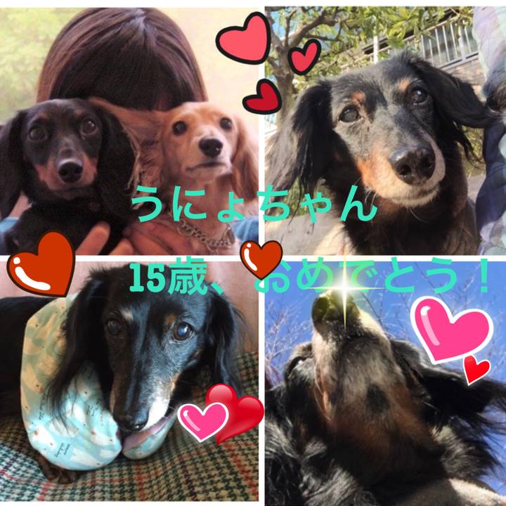 9d776698 a317 4ad6 8f96 969e1ab00b98