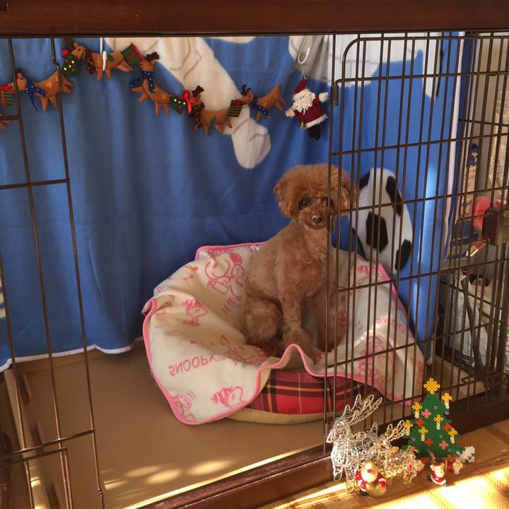 9d779ac8 9578 470a bc91 b1888241dbd0