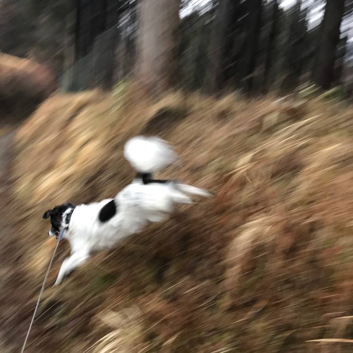 9d779df8 e932 4d69 9b32 ce1f4d7c3355