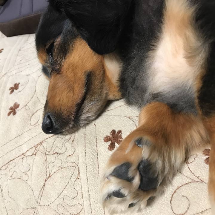 9d790dfe 8ef9 49c3 aaa2 690f7a96daec