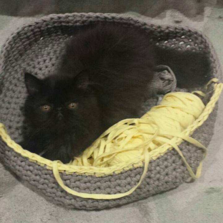 9d792f29 fe07 48bf a2a2 c23e1c4c0140