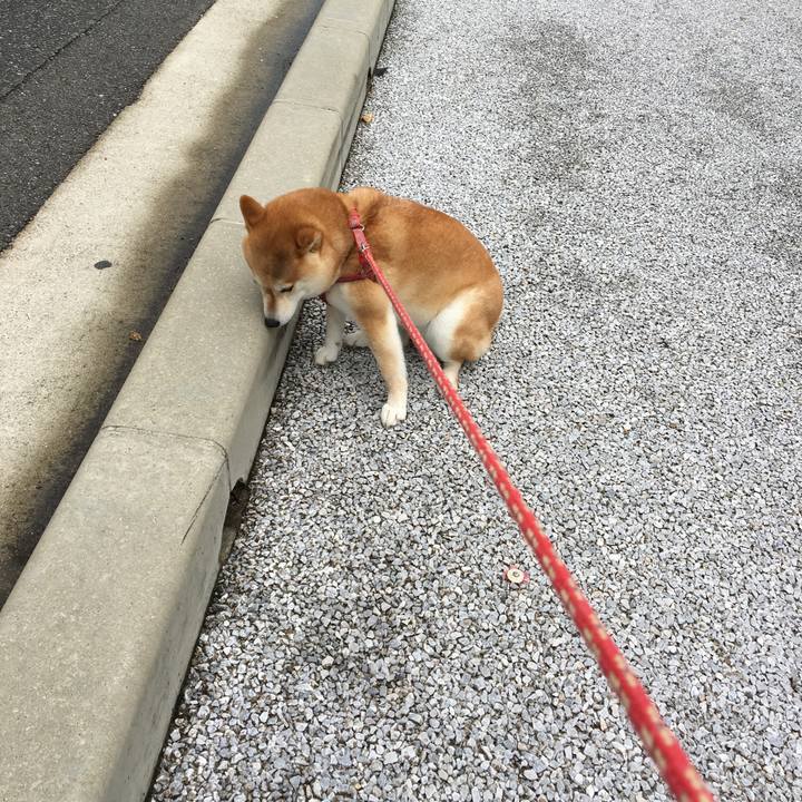 9d794a24 389b 4e89 8dea cf769cb7c017