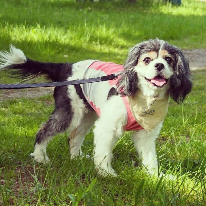 9d79ef59 56ff 449a 9b46 6fda9f037f02