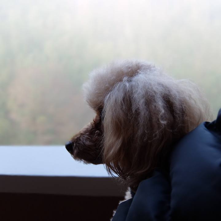 9d7a2d02 36de 4550 98e9 722f36937560