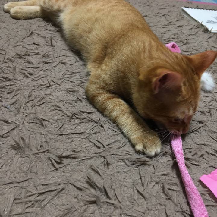 9d7ab3e4 73e5 42a6 aa69 15d7ff320ef0