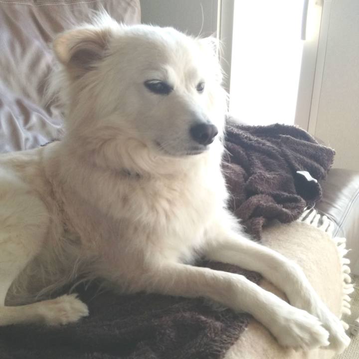 9d7b13e3 f2b4 439c a76b 5b61099a6c64